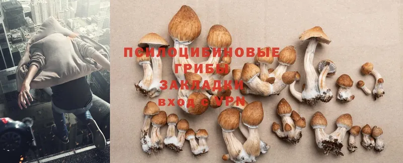 Галлюциногенные грибы Magic Shrooms Костомукша